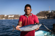 Barrilete - en cubos 200g