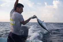 Barrilete - en cubos 200g