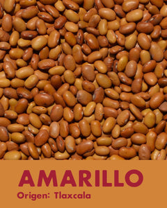 Frijol Amarillo (Tlaxcala) 453 g