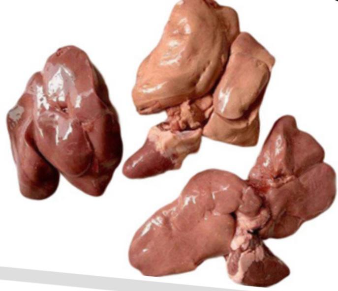 Tio Orgánico - Higado de pollo 250g.