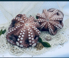 PULPO EN FLOR  piezas de 300g - 400g