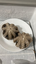 PULPO EN FLOR  piezas de 300g - 400g