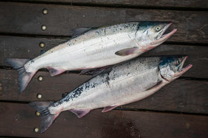 Salmón Sockeye porcionado 454g